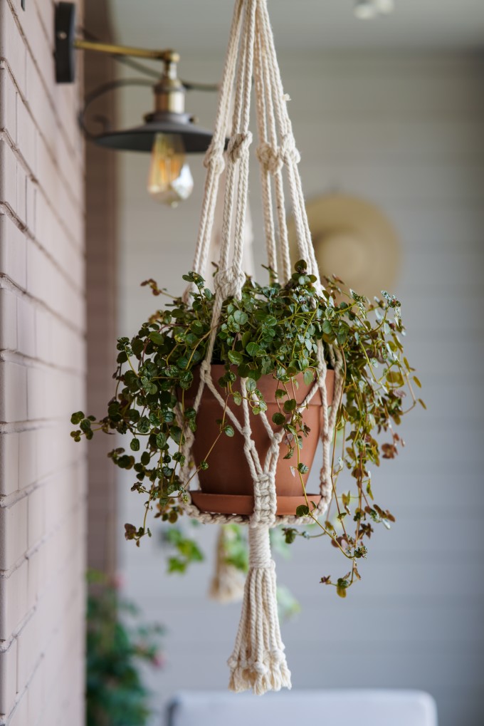 balcony-macrame-potted-plants-home-decor-urban-jungle-loggia-terracotta-pots-modern-interior_t20_bzA739